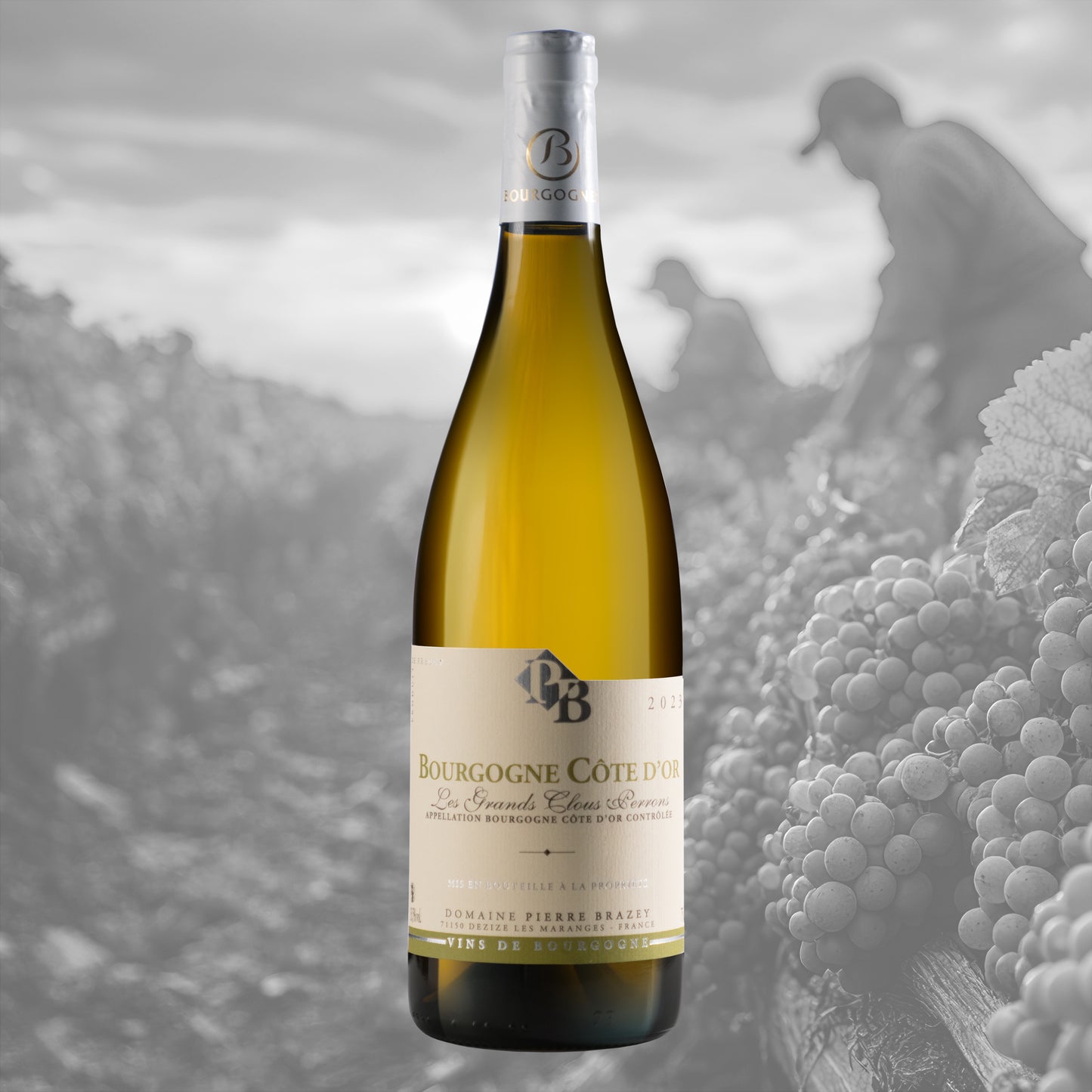 Burgundy Côte d'Or Les Grands Clous Perrons 2023