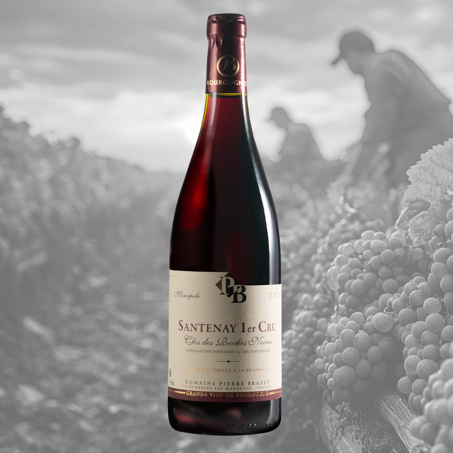 6 x Santenay 1er Cru Clos des Roches Noires 2023