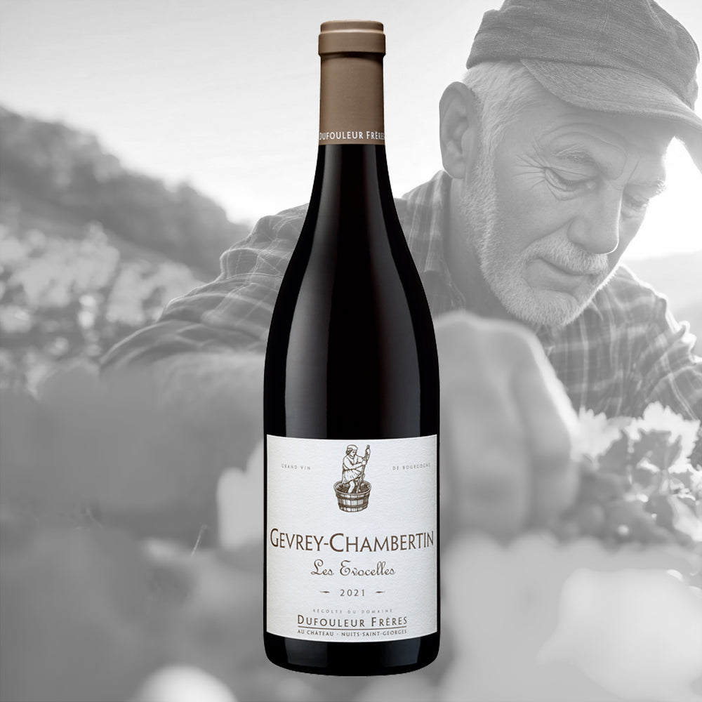 6 x Gevrey-Chambertin Les Evocelles 2021